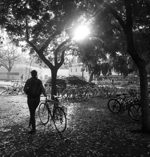 Black-and-white photograph—silhouetted person walking a bicycle beneath sunlit trees and bikes